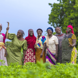 Afri-YieldPro_Agriculture4_optimized_850