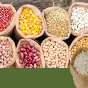 afri_yield_profile_EDITED-01_optimized_850
